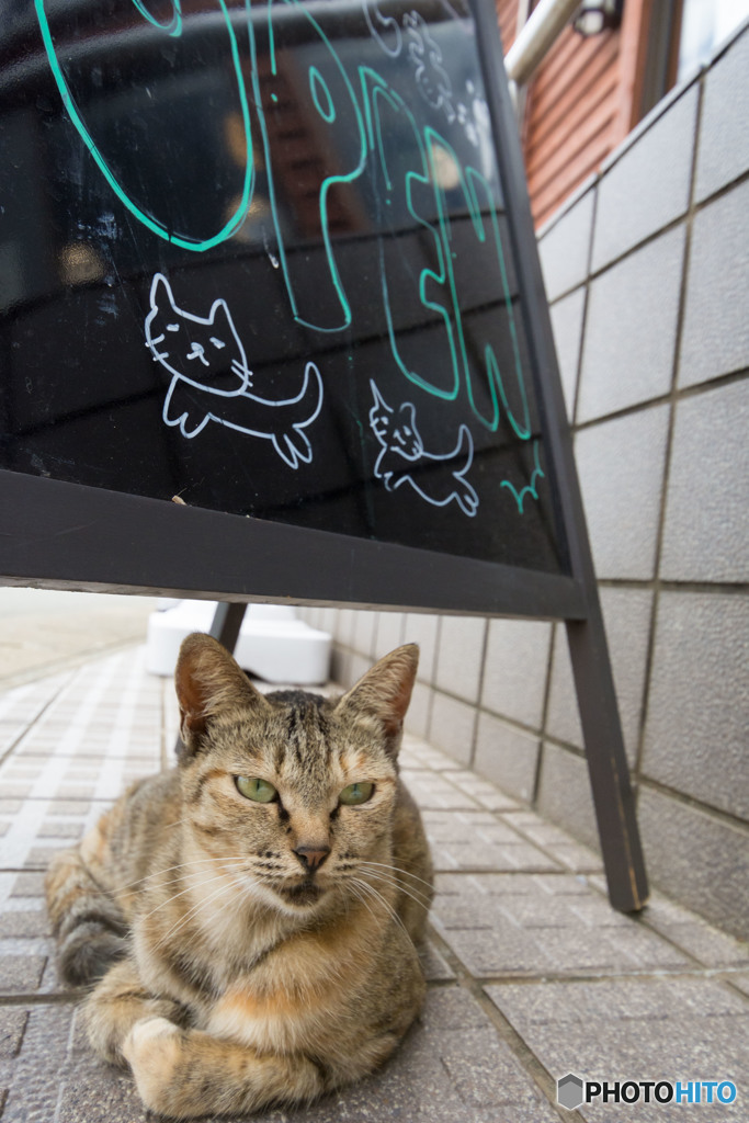 開いてるよ