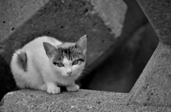 目と目で通じ合う