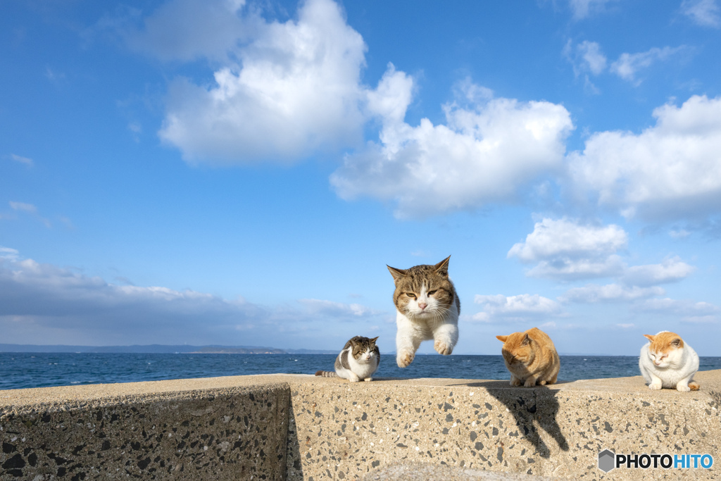 西の風ちょっと強かったね