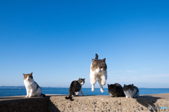 副隊長さん