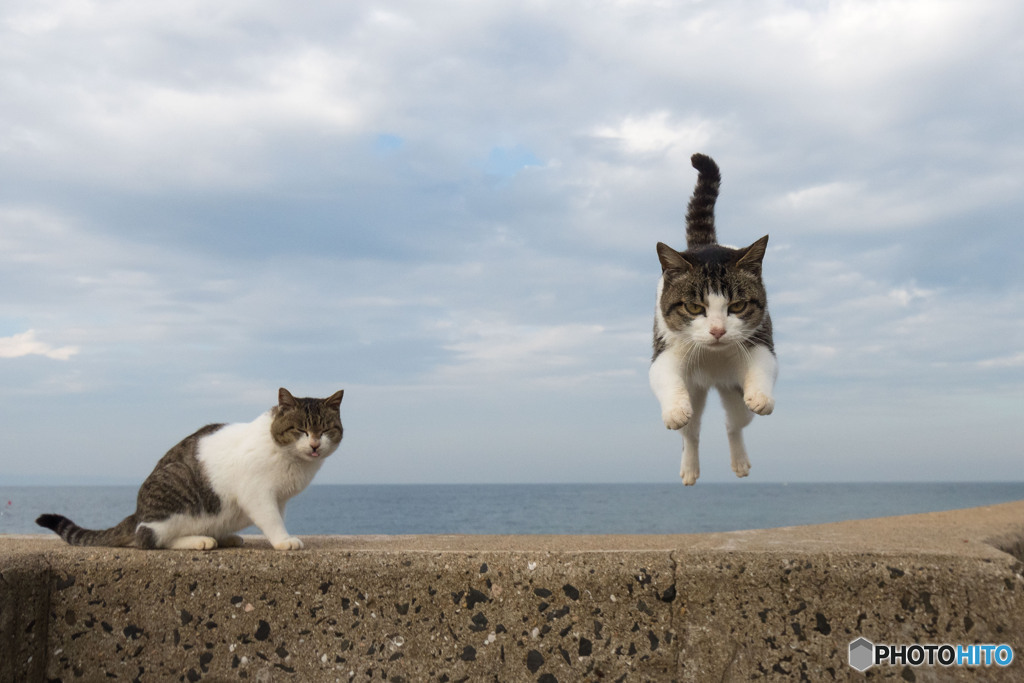 よいしょ～