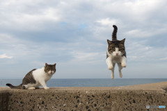 よいしょ～