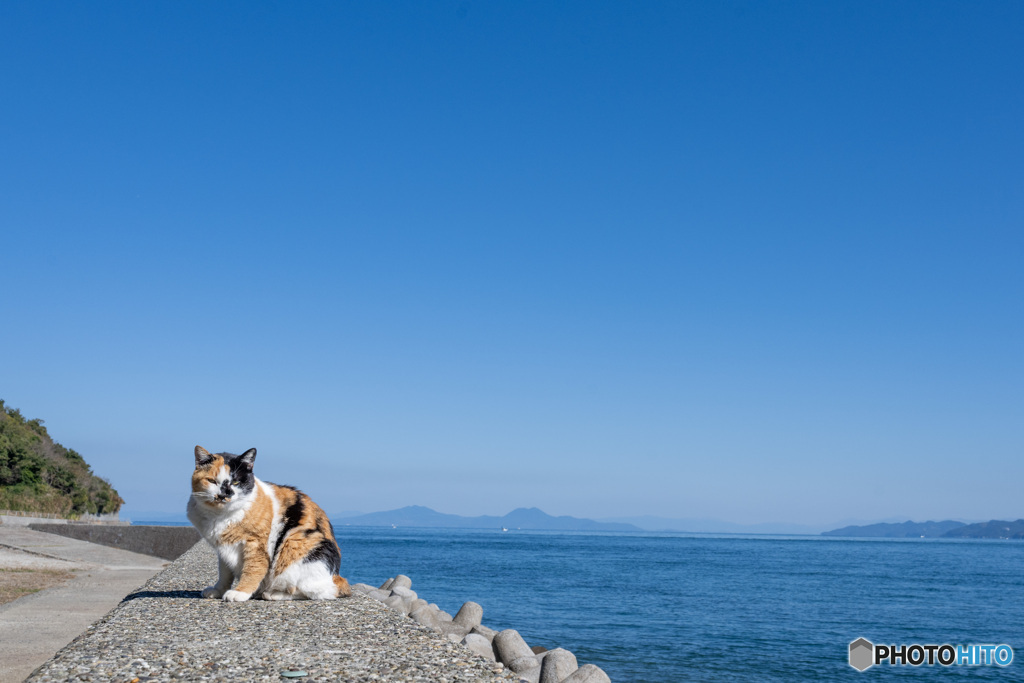 海辺のミーさん