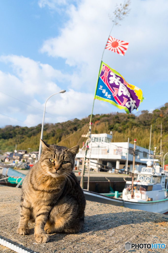 あけましておめでとうニャ