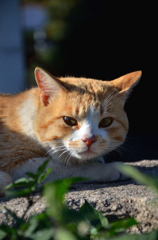 ぼんやりと。思索中なんです。