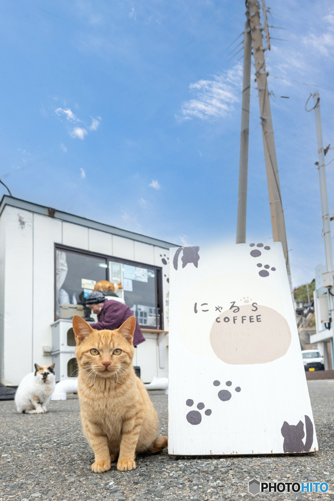 あったか～いコーヒーはいかが