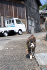 尾行される・・・