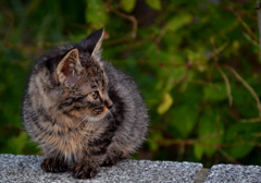 チビッ子ですよ