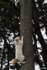 よいしょ