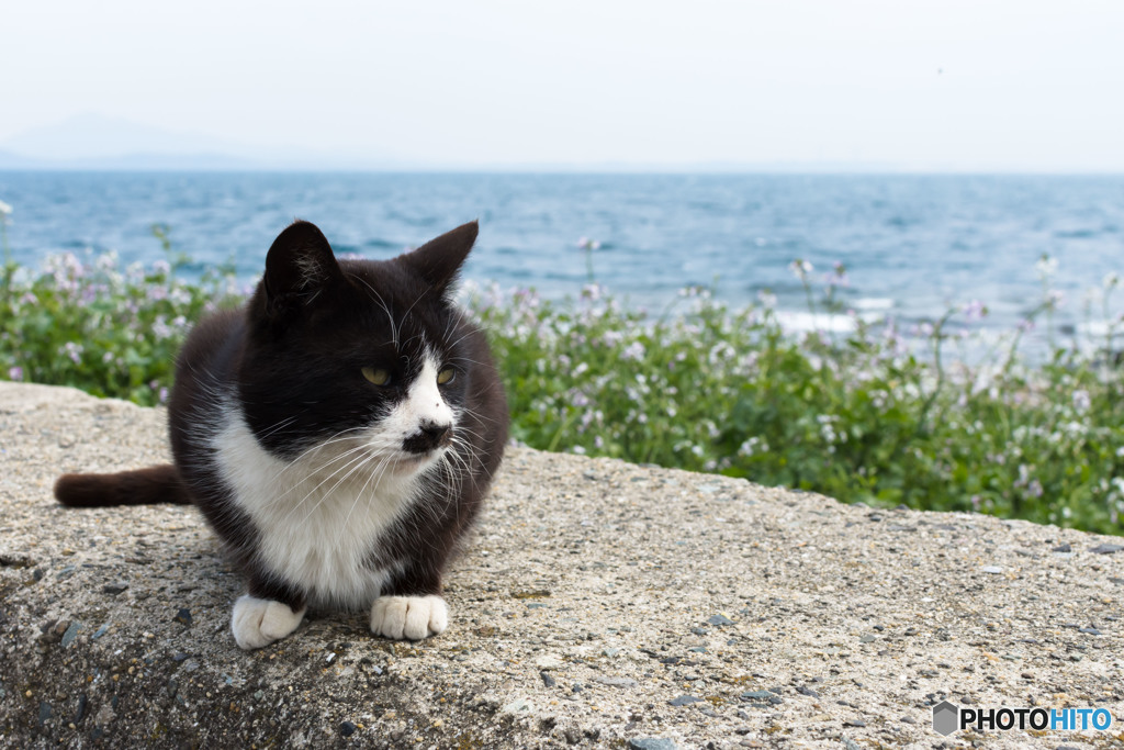 春風が吹いた
