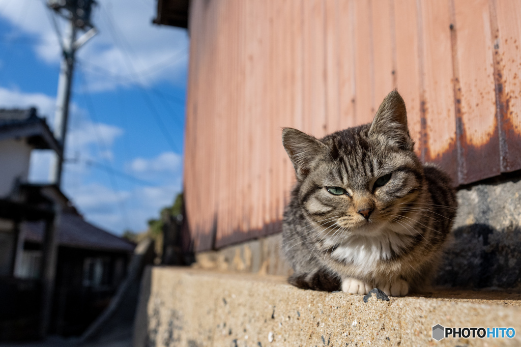 日溜まりのおチビさん