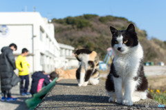 小学校からですよヽ(*´∀｀)ノ