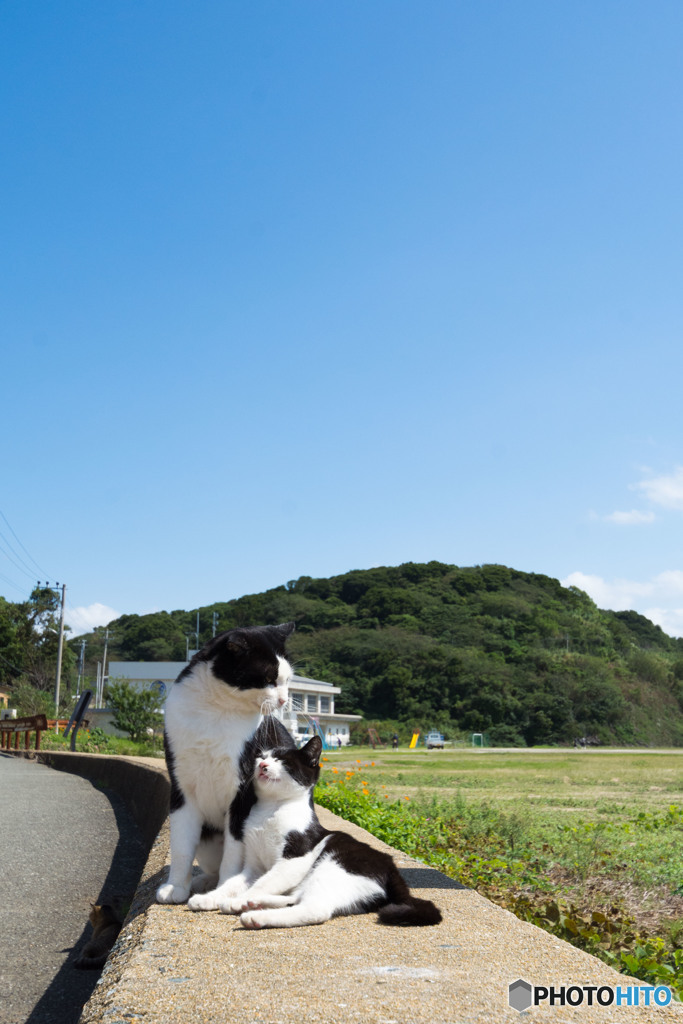 ボスと甘えるおチビさん