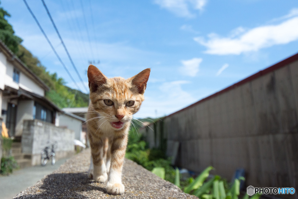 おにゃ～～～