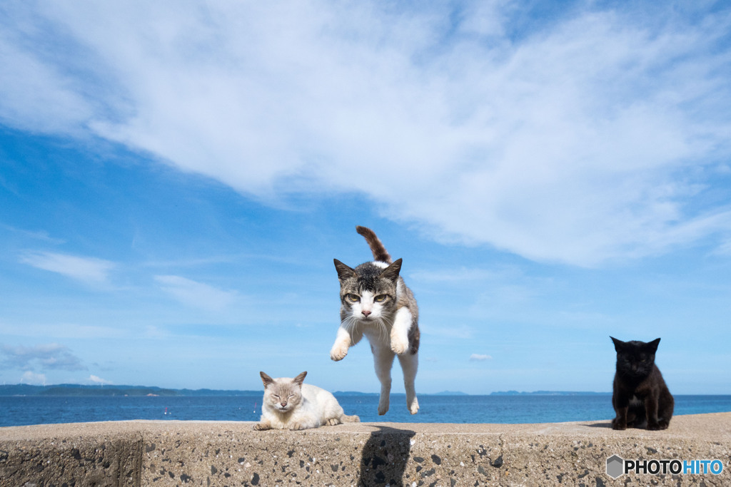 夏空にピョン（1）
