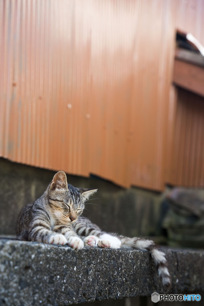 おやすみ