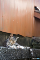 おやすみ