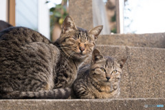 お母ちゃんと一緒