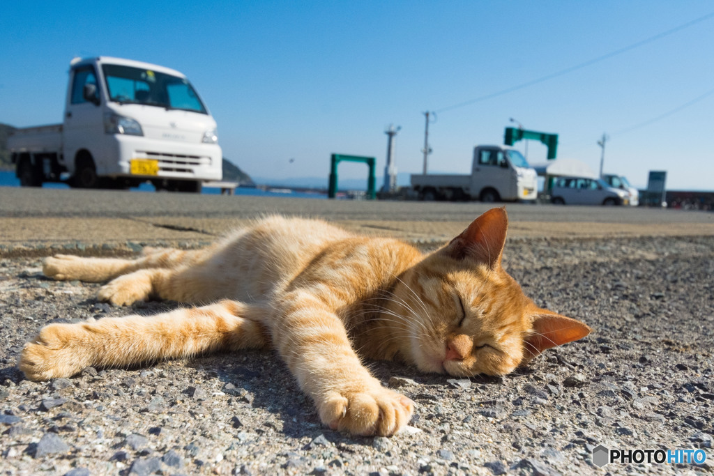 暖かいので眠っちゃいます