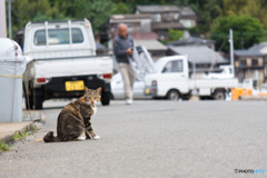 もうすぐお昼