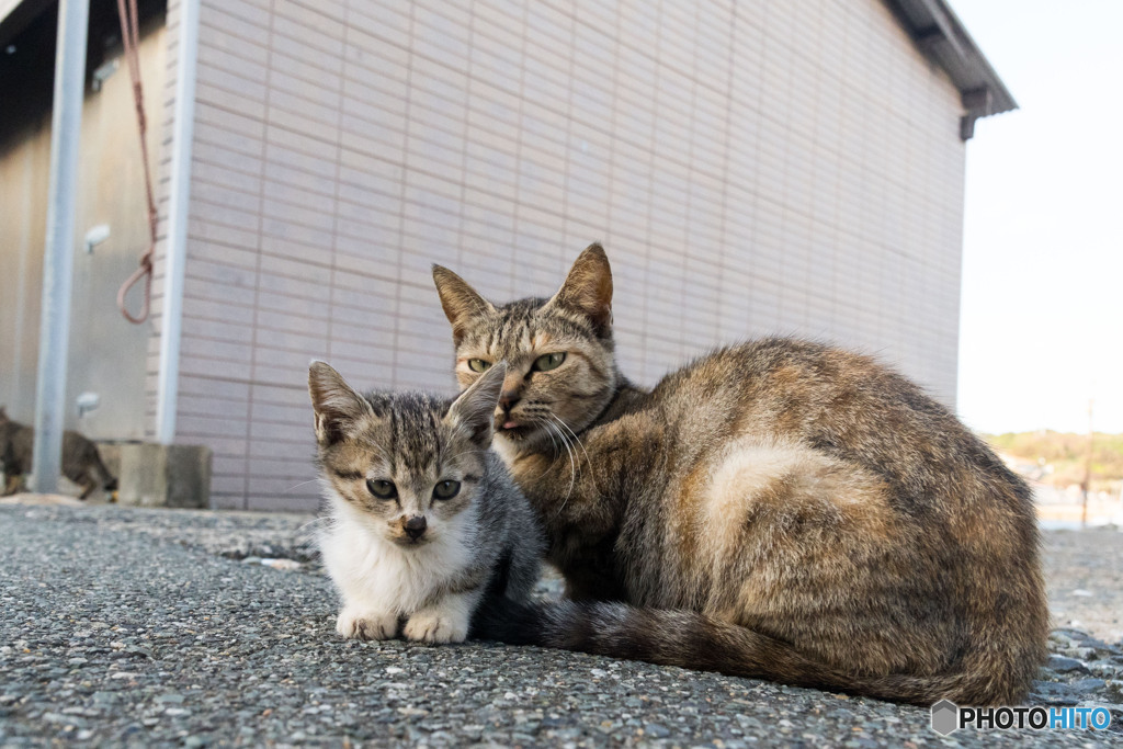 お母ちゃんと一緒