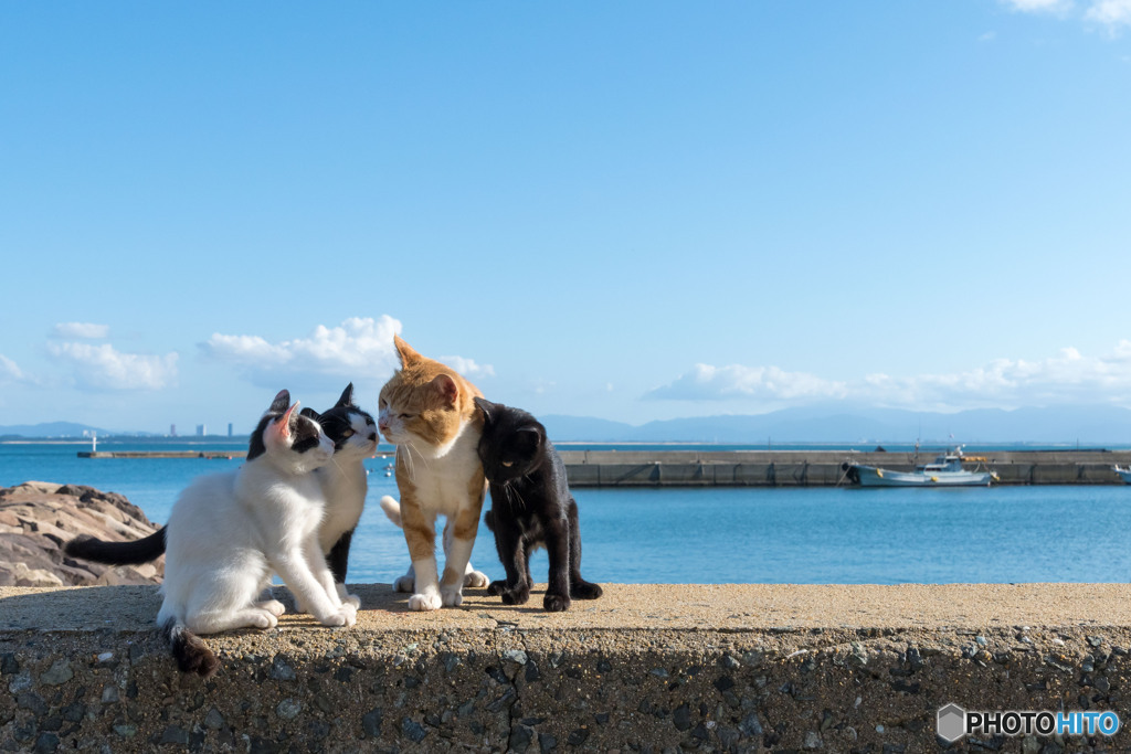 海と空とおとんとおチビ