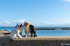 海と空とおとんとおチビ