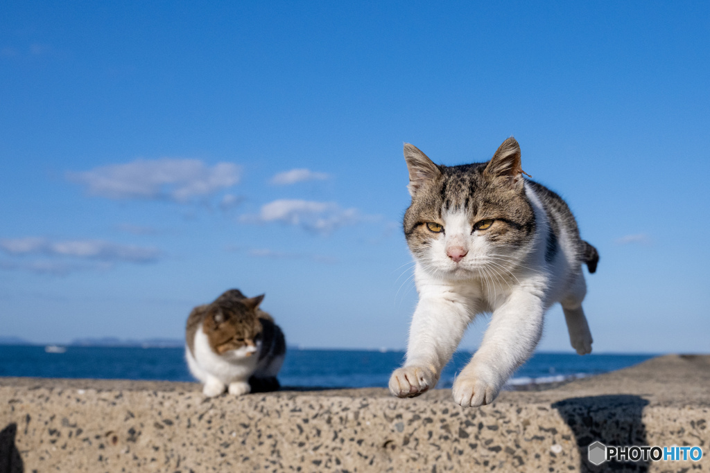 でぇぇぇい