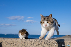 でぇぇぇい