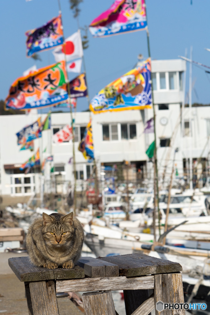 正月の漁船はカッコイイ！