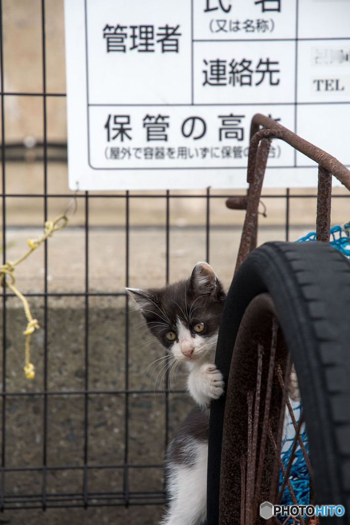 てへへ