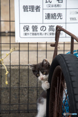 てへへ