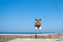 おねえさんもジャンプ