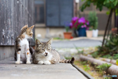 お母さん、遊びたいよ