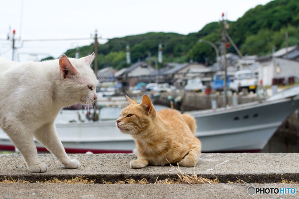 伝えたい事