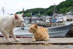 伝えたい事