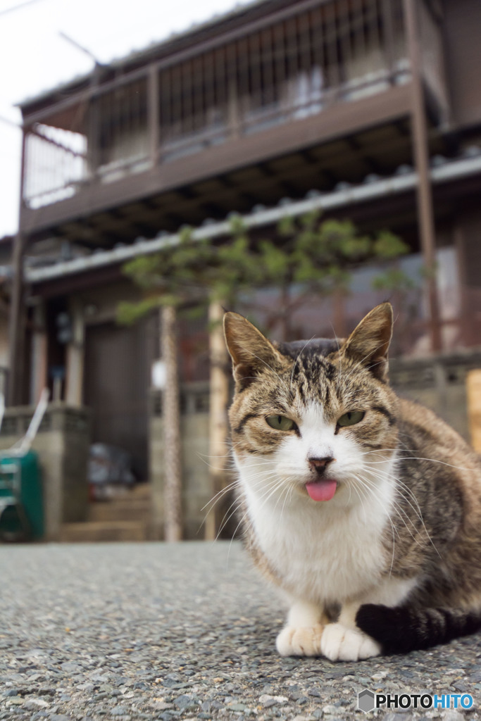 てへへ