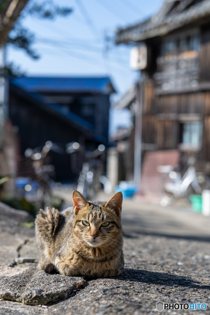 ここが好き
