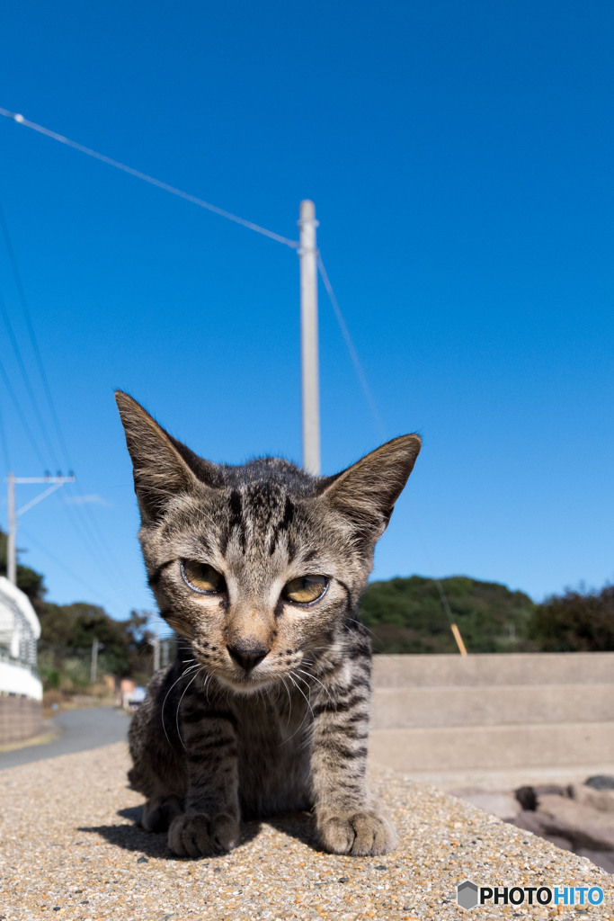 ごあいさつ