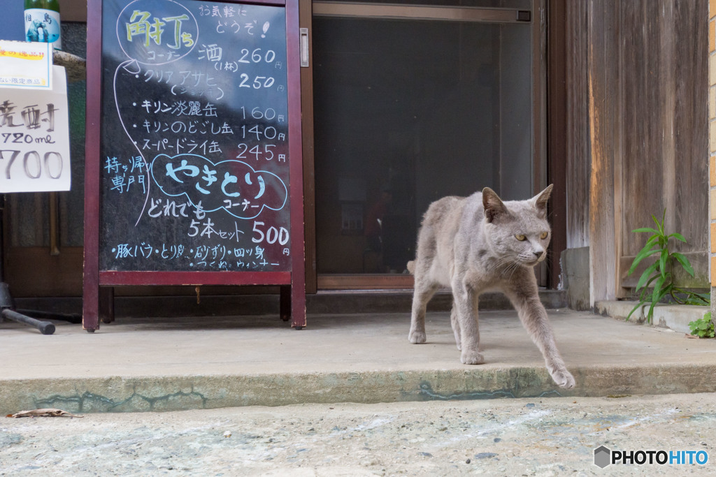 飲兵衛が集まるお店