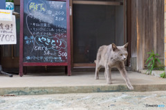 飲兵衛が集まるお店