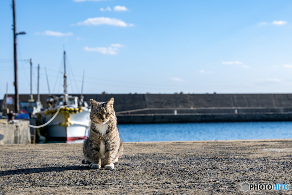 渋いお兄さんは好きですか