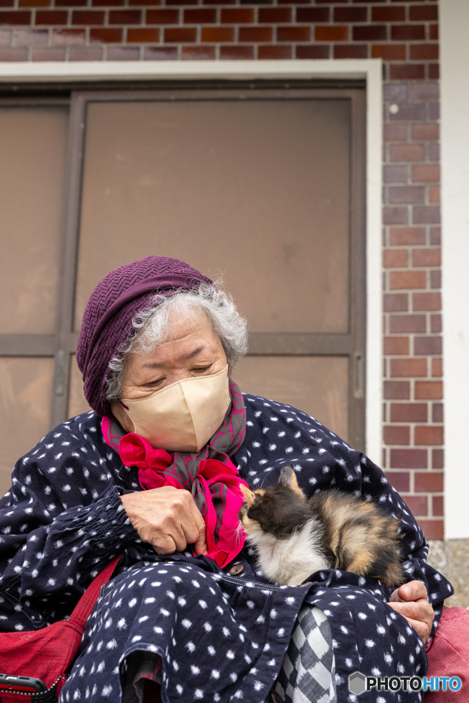 うちのばばあとおチビのミーさん（1）