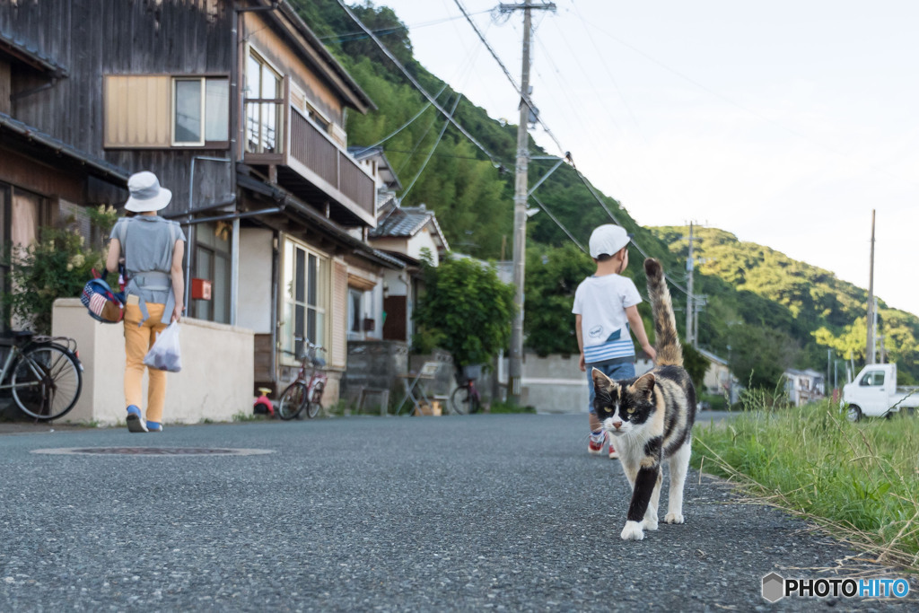 お見送りのミーさん。ありがとニャ