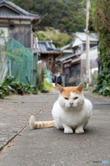 むむっ