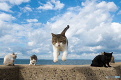 副隊長が行く！