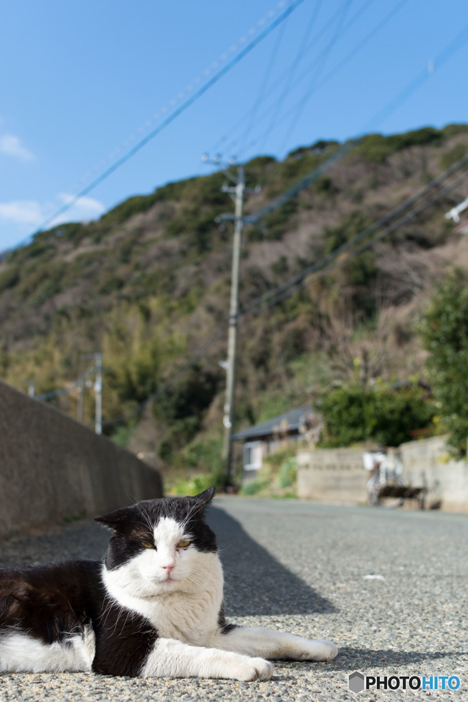 今週のボス