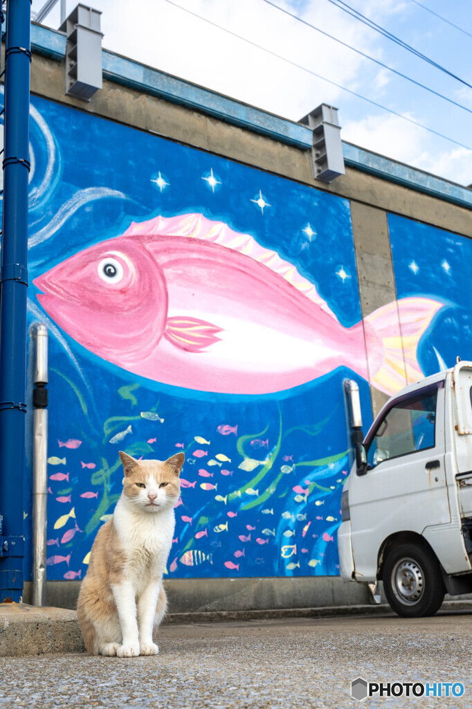 ぴちぴち魚の荷捌き場