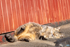 日向はいい感じ