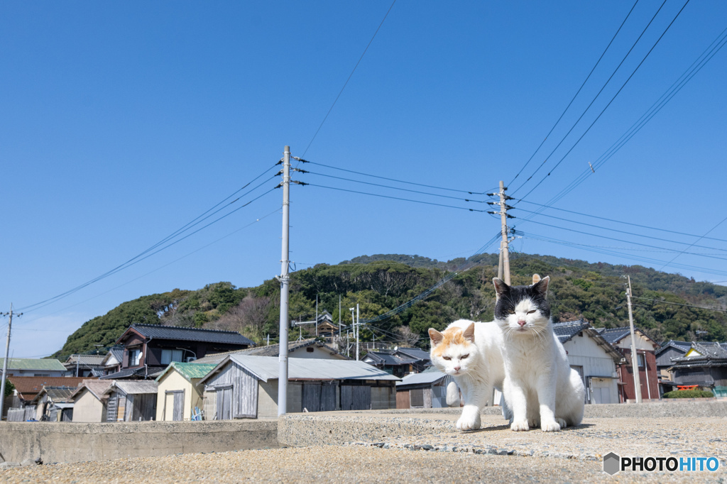花粉舞ってる？